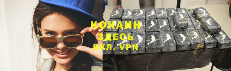 OMG онион  Павловская  COCAIN Эквадор 